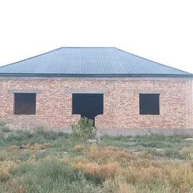 Gokdepe jay