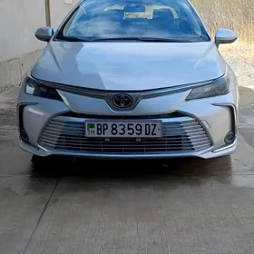 Toyota Corolla 2019