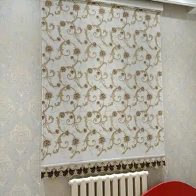 zalyuz jalyuz tutula