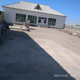 31кв таййар жай