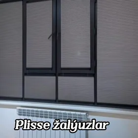 Plisse Jalyuz žalyuz zalyuz