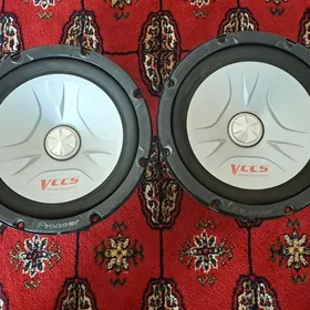 Pioneer bocka