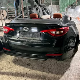 Sonata/ Elantra 16-20 morda