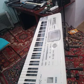 korg pa2 x pro