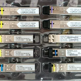 sfp taźeje