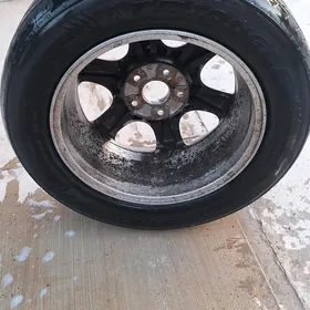 zapaska tigir