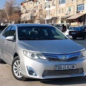 obmen jaý bilen