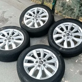 Disga r17 kiya hunday arginal