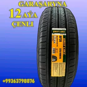 GARAŞARNA TEKER 225/60R16