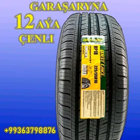GARAŞARNA TEKER 225/55R16