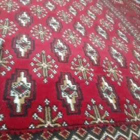 Haly 3×4 metr