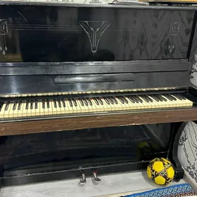 akord pianino