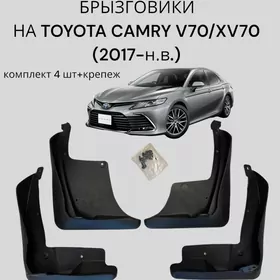 Camry bryzgovik