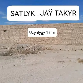 Satlyk jay