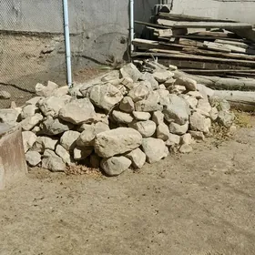 DAG DAŞY (BUTKAMİN)