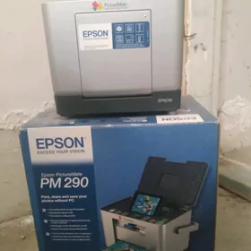 Принтер Epson Pm290