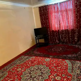 квартира