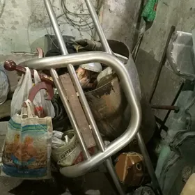 КЕНГУРЯТНИК.