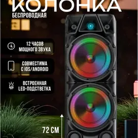 kalonka prokat