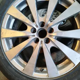17 carolla dysga limitet