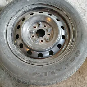zapasga