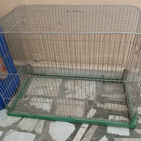 Клетка