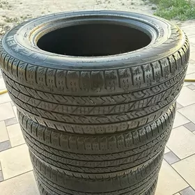 NEXEN 255/60R18