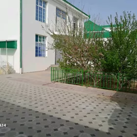 Anew kattej