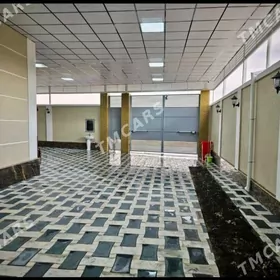 Bagyr obasy ýyldyz han köçesi