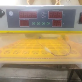 Inkubator 56 ýmrta