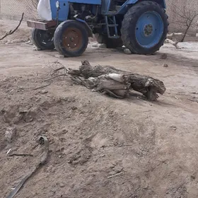 MTZ 82 2018