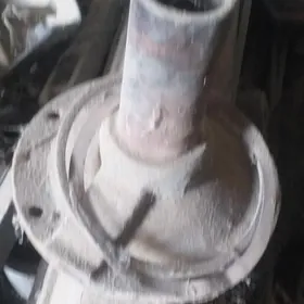Maz tüdük.