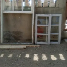 ağaç akno