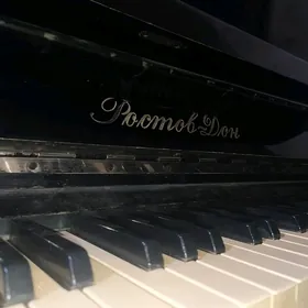 Piyanina Rostov-Don