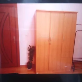 Taslama komnat talyp gyza
