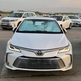 Toyota Corolla 2023