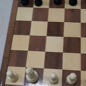 Шахматы новые