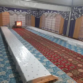 gūmmez palatañ zanaweskasy