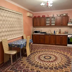 плановый дом жанга