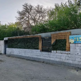 Pikarny arenda