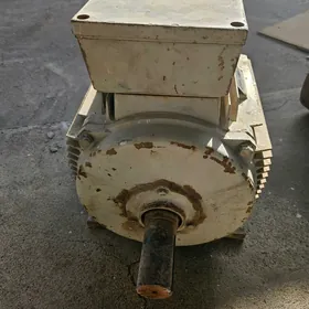Elektrodwigatel