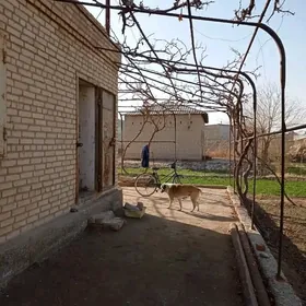 Дача берзен канал