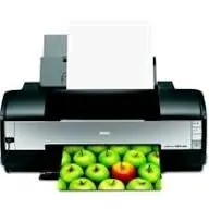epson 1410