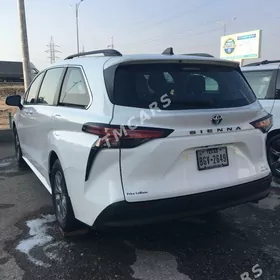 Toyota Sienna 2021
