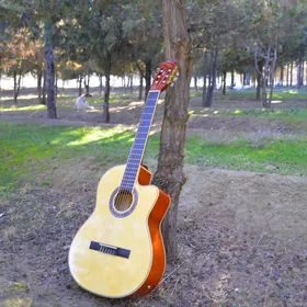 ORGINAL GITARA TAYSTE + CEHOL