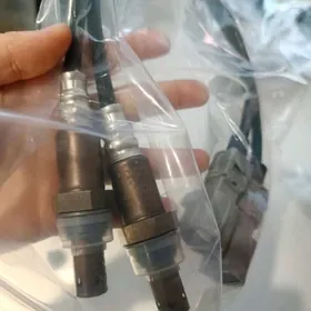 denso катализаторы