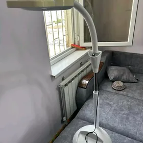 lampa