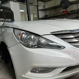 sonata fara