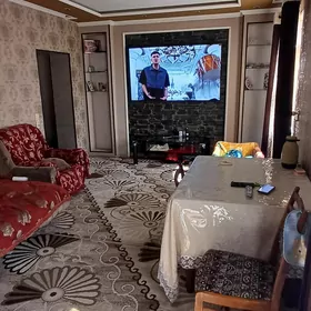 SATLYK PYLAN