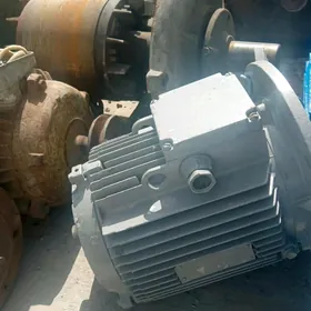 motor elektrodwigatel